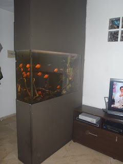 The Fish Factory Spain Aquarium Room Divider
