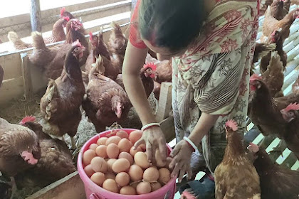 Farming Profits & Benefits: Does Farming Pay Well?