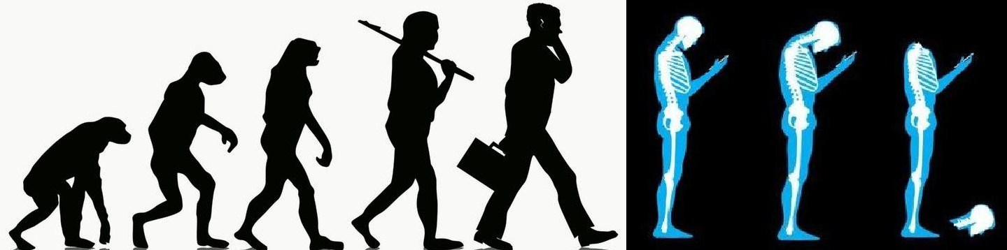 Evolucion De La Teoria Del Hombre De Mono Al Hombre Grabado Del