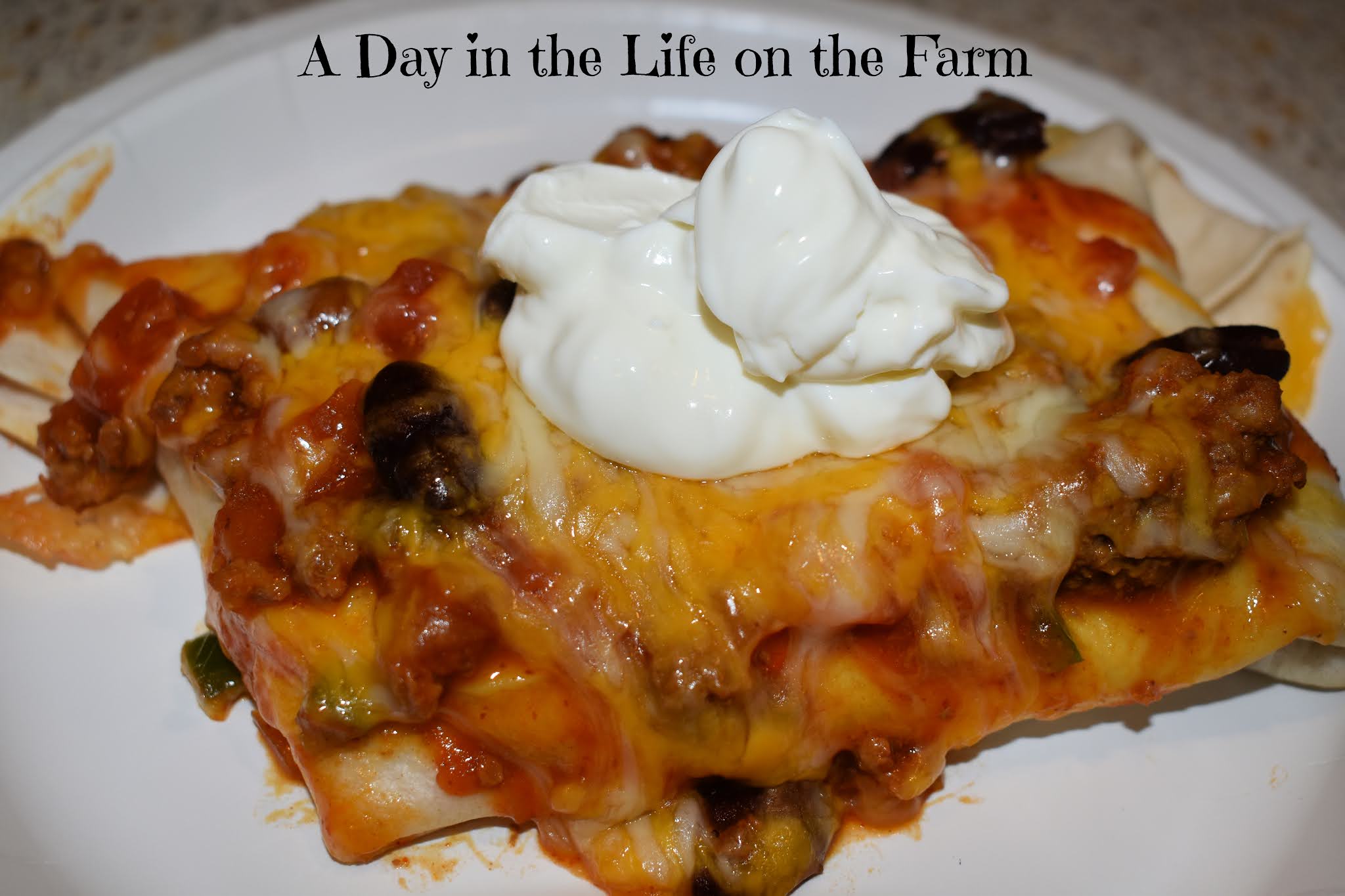 A Day in the Life on the Farm Leftover Chili Burritos 