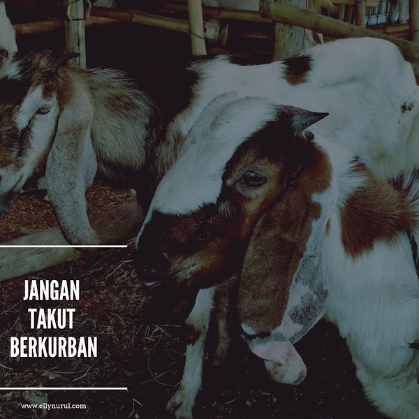 Jangan Takut Berkurban