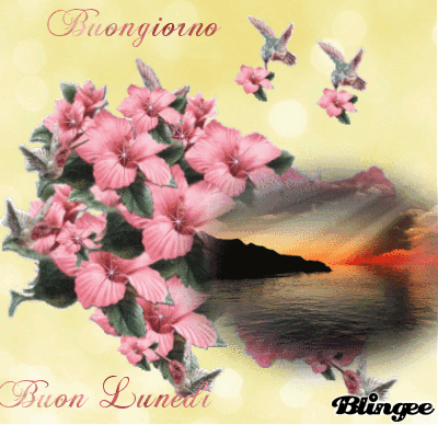 *** Sperem *** 15th sezione _ - Pagina 5 8