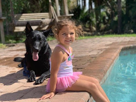 family protection dog cost