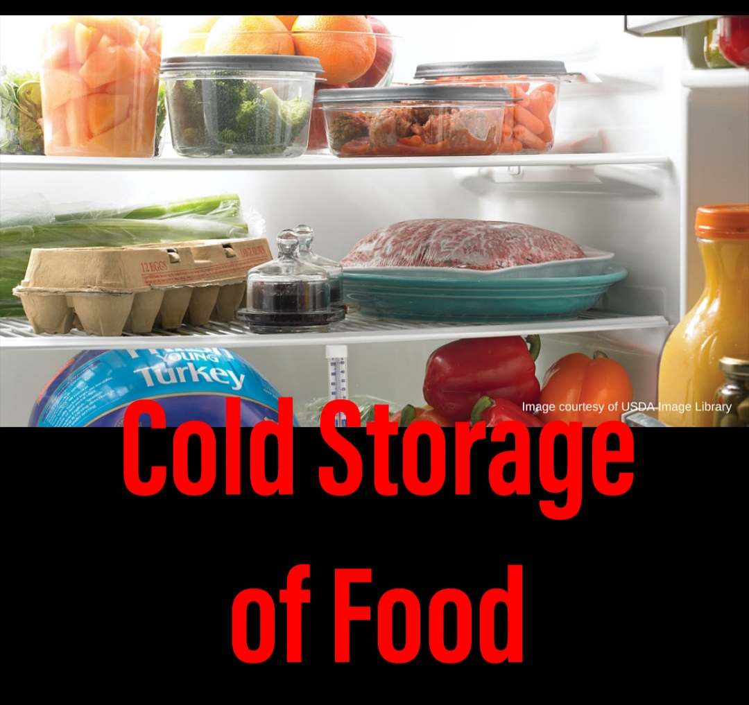 Basic Of Food Handling And Safety Cold Storage Of Food Cruise Online