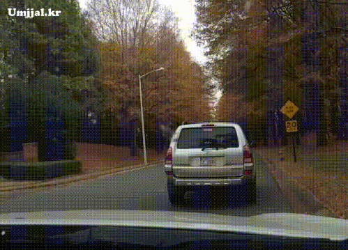 umjjal_kr_211.gif