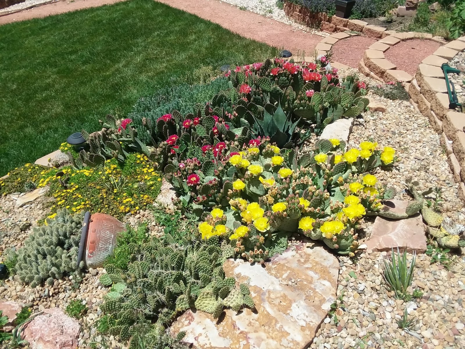 Colorado Garden Punch List Betty Cahill Cactus Plants Rock Check