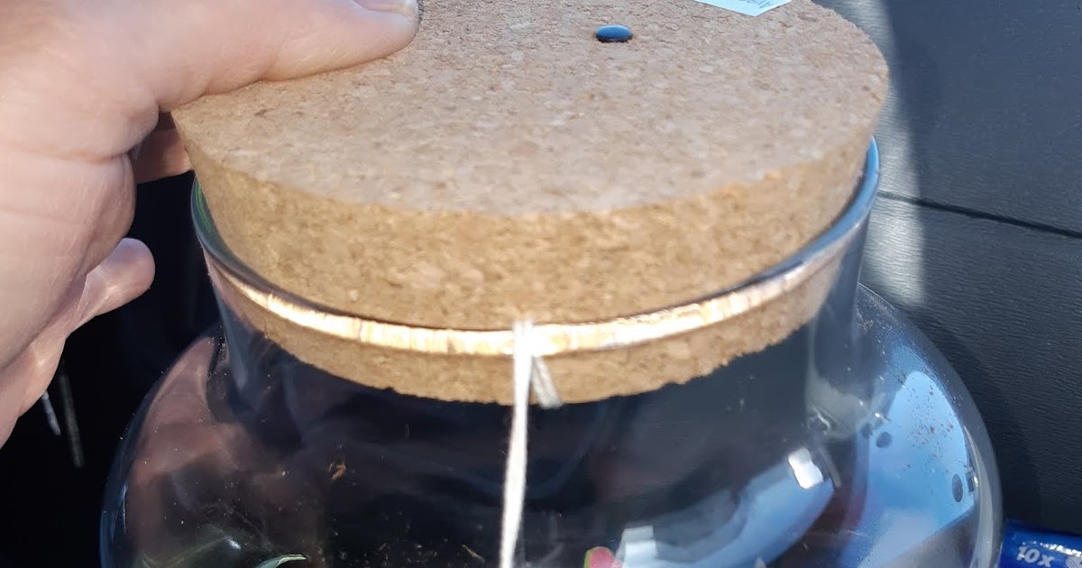 mes 3 loulous Terrarium lumineux Lidl