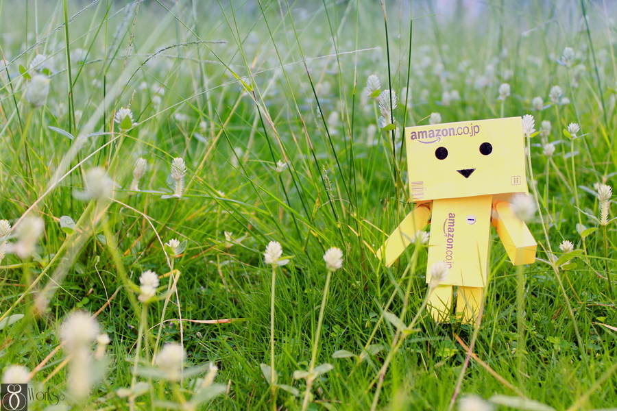 Informasi Tentang Boneka Danbo