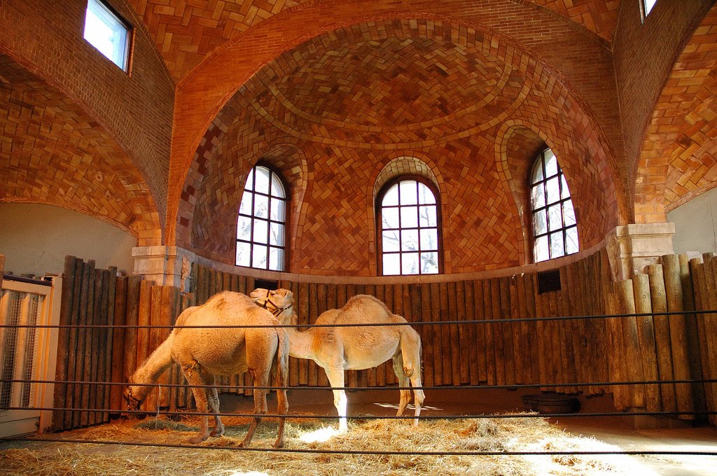 The Circus "NO SPIN ZONE" Bronx Zoo Elephant House