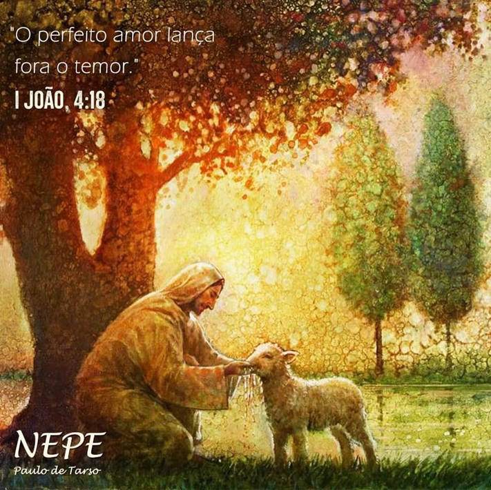 Ser Espírita Emmanuel Livro Palavras de