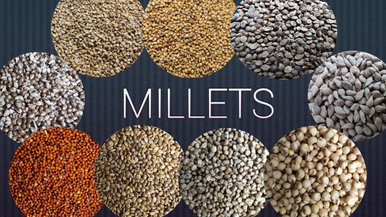 Millets Market Is Booming In 2020