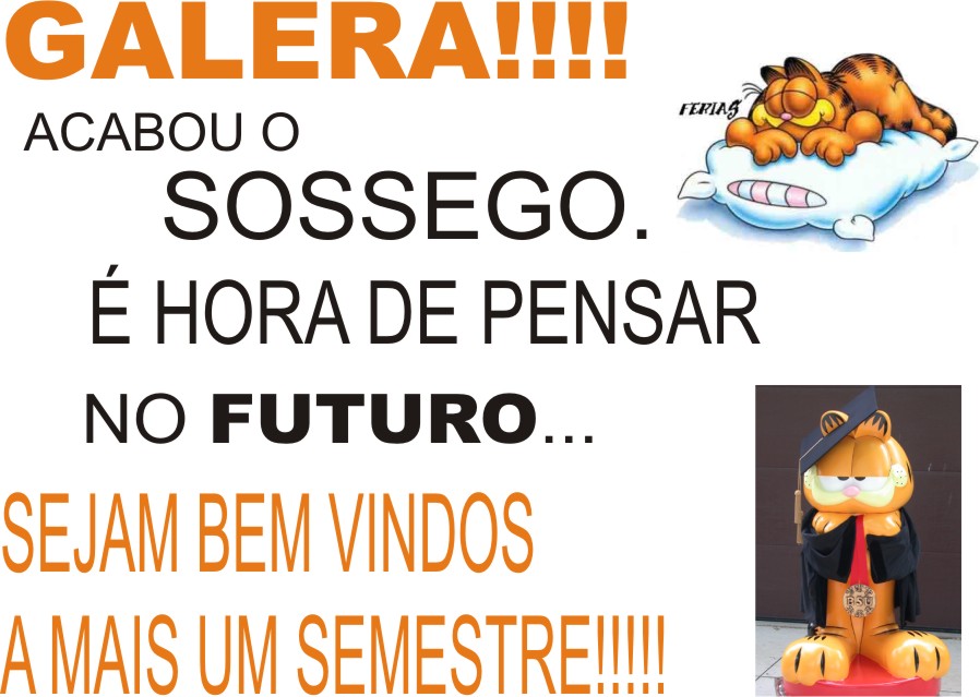 Prof. Ana Paula Comper Dullesko Mais um semestre Eixo VI Prof. Ana Paula Comper Dullesko Mais um semestre Eixo VI