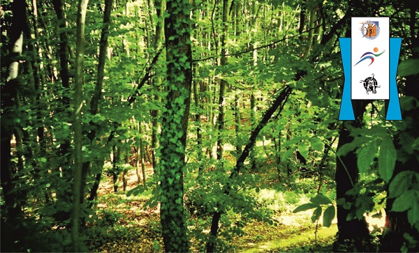 Link to LONG STAGE INFO