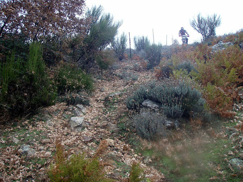 Cota 315r: Trial Excursión con nevada incluida