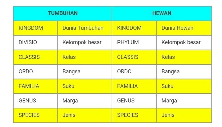 Mapel Ipa Kelas 7 Smp