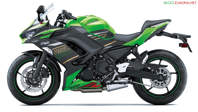 Kawasaki Ninja 650 2020 Kawasaki Ninja 650 2020 green KRT