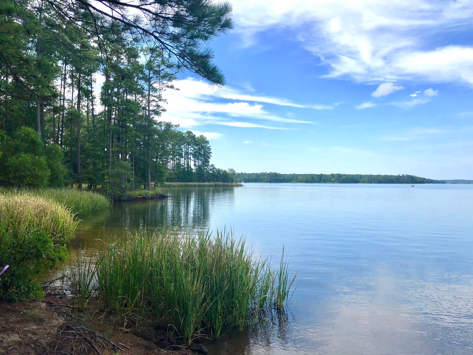 PlacesHiking the Peninsula Trail at Harris Lake in New Hill NC