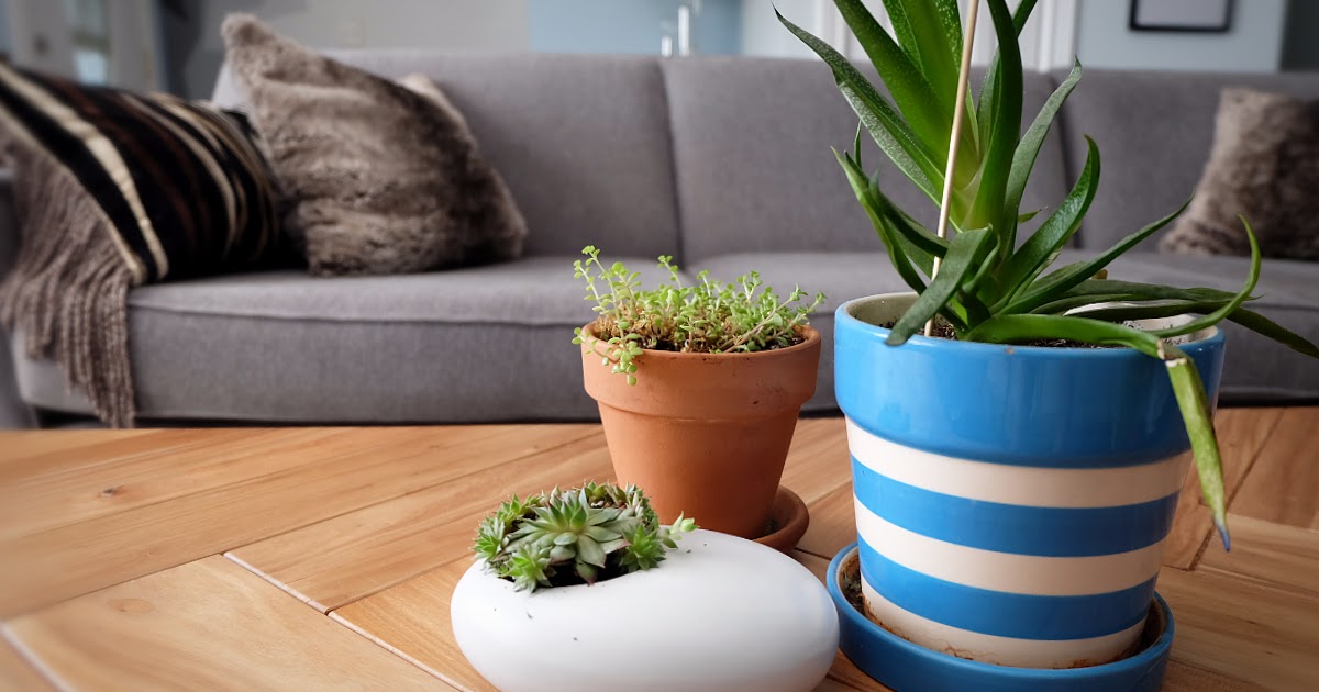 Joybird Review. Flipping the Flip