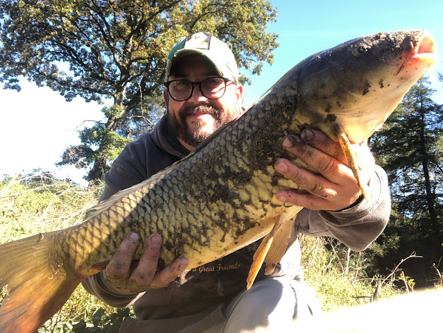 Carp On Pine Creek in North Hills of Pittsburgh