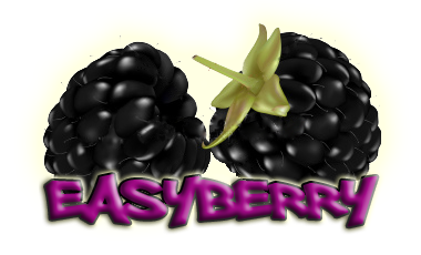 EasyBerry |איזיברי| The Easiest way around BlackBerry Apps