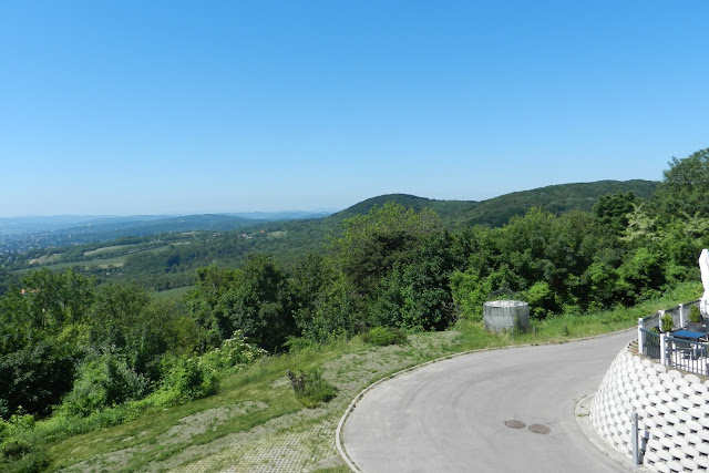 widok na okolicę ze wzgórza Kahlenberg