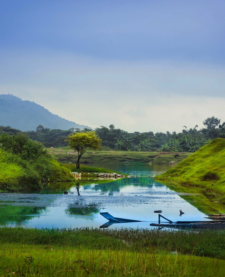 Solusi, Cara Bertani di Daerah Rawan Banjir  IDNFARMERS
