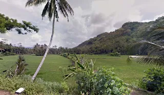 Sawah Kebondalem Hadiwarno Ngadirojo Pacitan