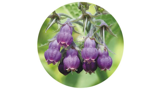 Fissure Piles Treatment Home Remedy Fissure Piles Treatment Home Remedy
