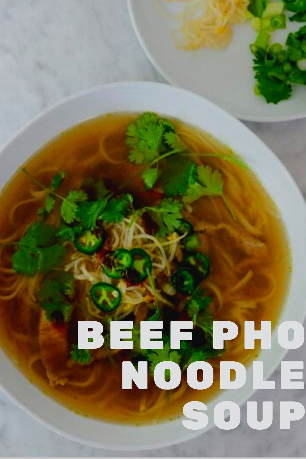 Beef Pho Noodle Soup