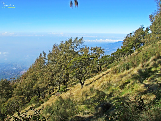 pendakian gunung arjuno via lawang