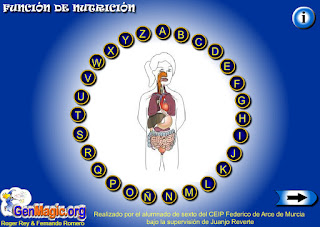  La función de nutrición