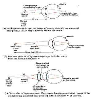 The Human Eye and The Colourful World - Lakhmir Singh Manjit Kaur