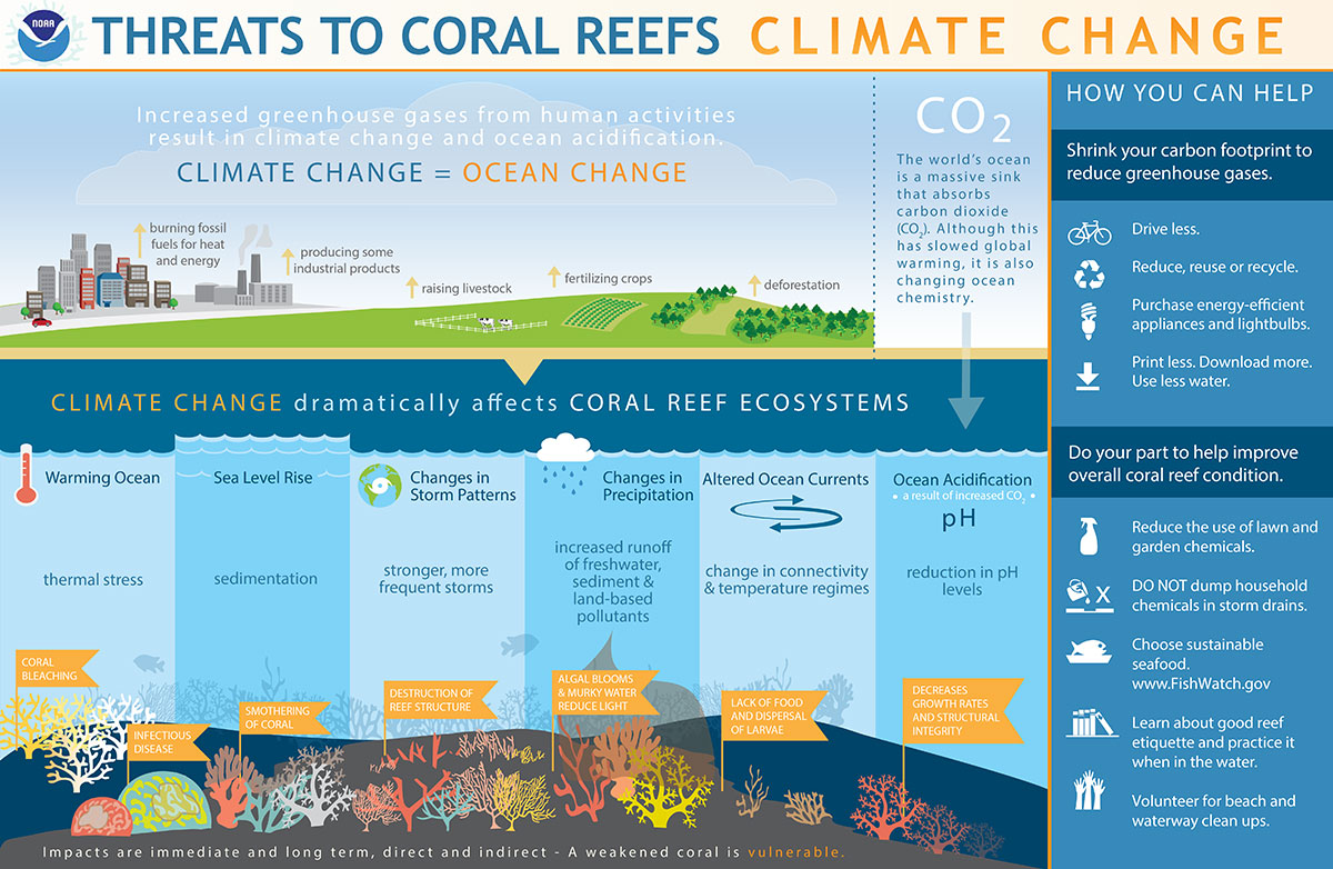 A general overview of coral reefs threats under accelerated