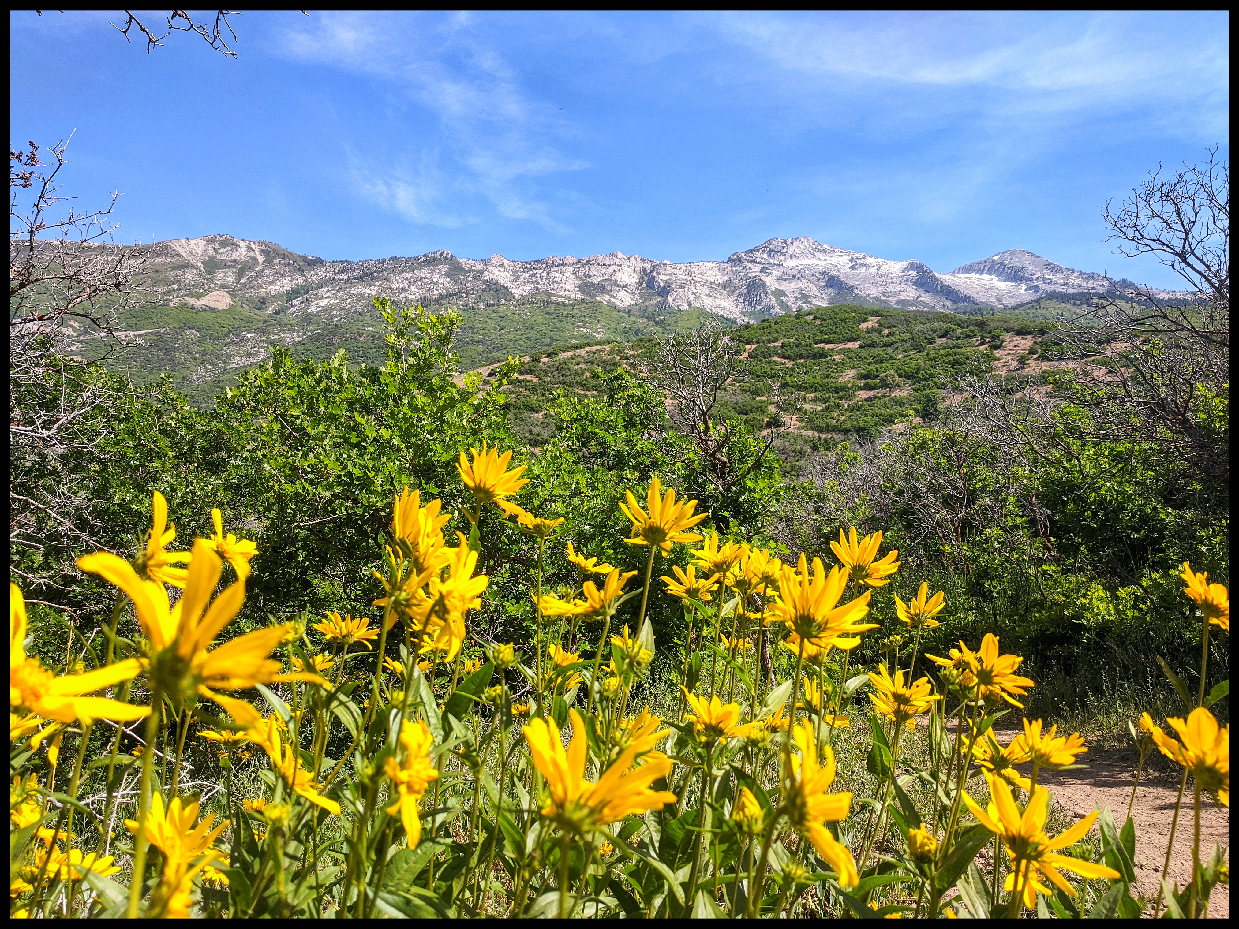 Three Falls Trail Alpine Utah