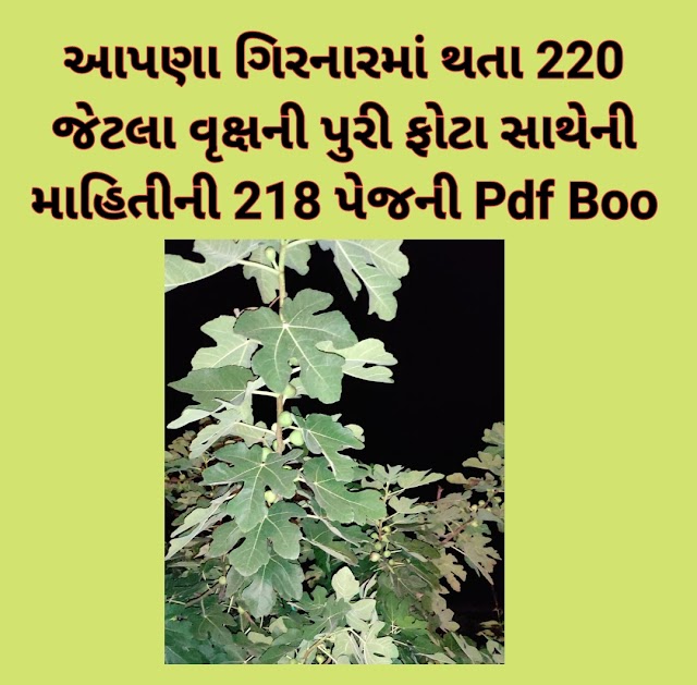 Trees in Girnar 220 trees photos with details of useful pdf