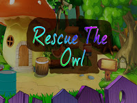 Top10NewGames - Top10 Rescue The Owl