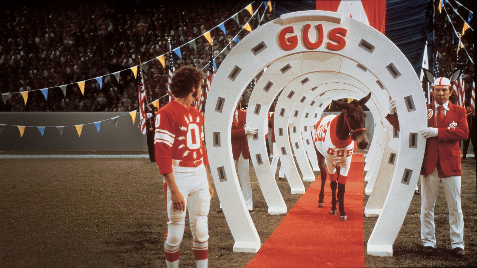 The Great NFL Fun Book Gus the Field Goal Kicking Mule