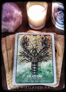 Crayfish Guide to Life for the Coming Week #ForesightFriday #divintion Reading with Crayfish by The Pixilated Path using The Secret Language of Animals Oracle