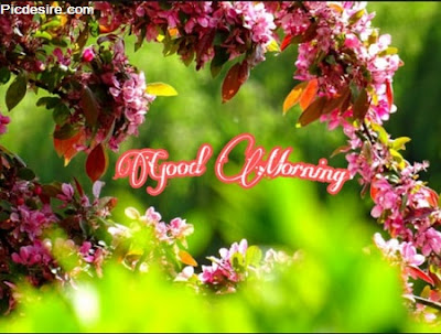 These Best 99+ Good Morning Images will make your day These Best 99+ Good Morning Images will make your day