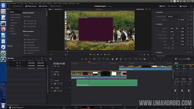 Editing Video Dengan Davinci Resolve di Ubuntu