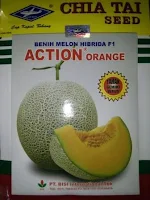 harga benih, melon orange, Action Orange F1, Cap Kapal Terbang, Bisi, jual benih melon, toko pertanian, toko online, lmga agro