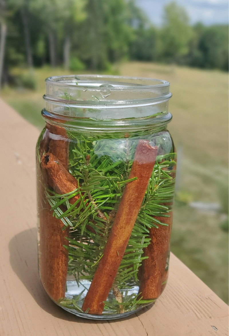 DIY Natural Pine Coop Cleaner Fresh Eggs Daily® with Lisa Steele