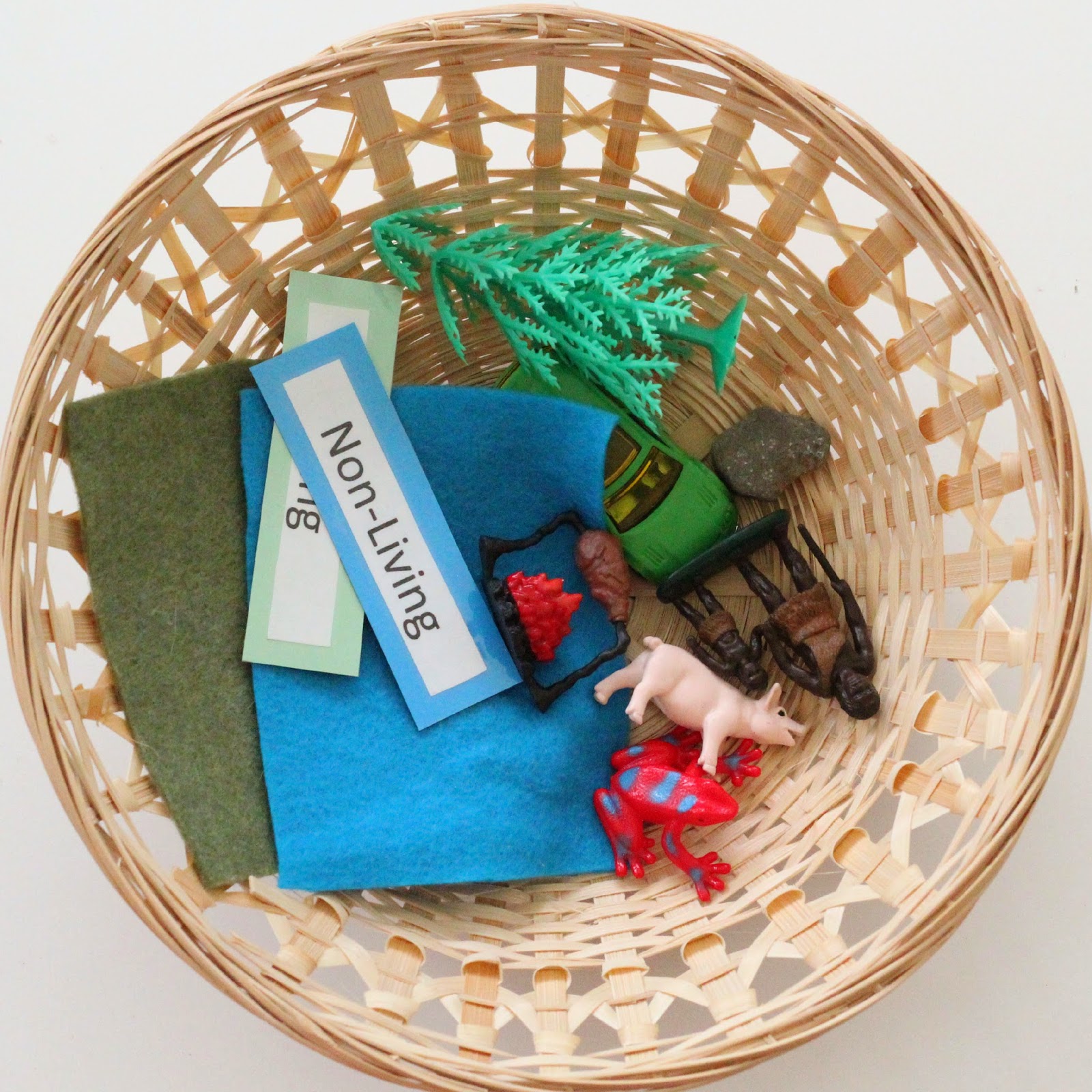 Montessori Inspired Math and Science Trays