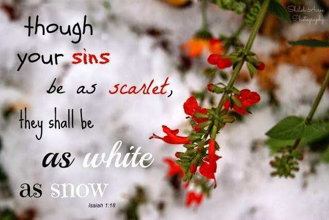 Sins Scarlet as White as Snow