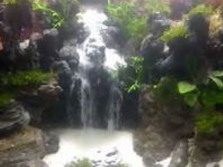 Teknik Membuat Air Terjun Aquascape Perikanan