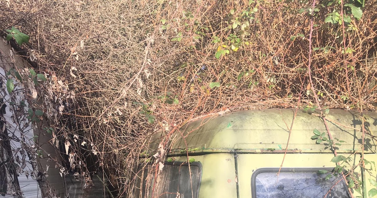 Bedford CF2 Van Junkyard Sunday's