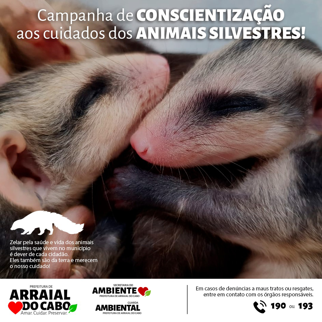 Arraial inicia campanha de proteção aos animais Silvestres . - Fique