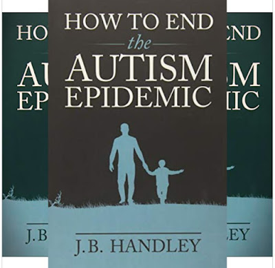 J.B. Handley's Book: How to End the Autism Epidemic - Published by Chelsea Green - 304 Pages