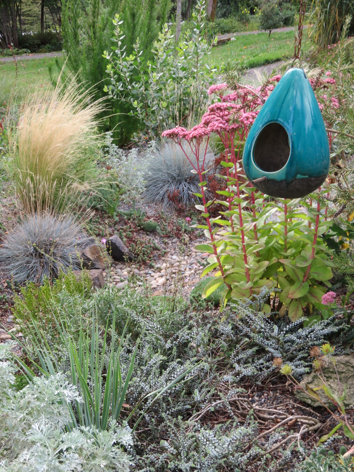 Love My Garden Trailing Plants Over Dry Walls