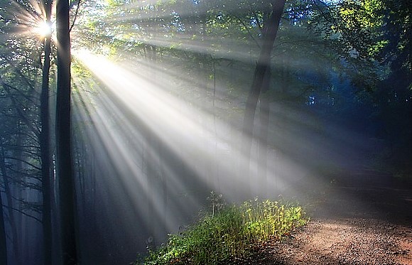 Pengertian Cahaya, Sifat, Pemantulan, Pembiasan Cahaya dan